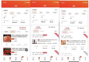 2025最新京东蓝海项目，0 门槛日入 1k+，小白宝妈轻松上手【揭秘】-网创小站