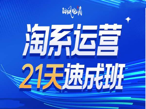 淘系运营21天速成班35期，年前最后一波和2025方向-网创小站