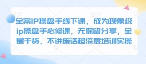 全案IP操盘手线下课，成为现象级ip操盘手必修课，无保留分享，全是干货，不讲废话超深度培训实操-网创小站