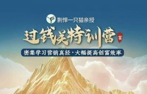剽悍一只猫-过钱关特训营,学习营销真经 大幅度提高创富效率-网创小站