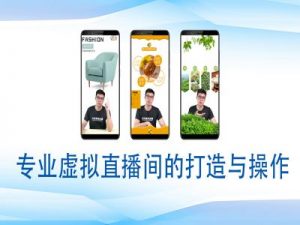 个人虚拟直播间的搭建与操作，专业虚拟直播间的打造与操作-网创小站