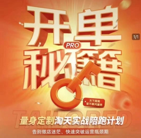 淘宝开单秘籍PRO，量身定制淘天实战陪跑计划，告别做店迷茫、快速突破运营瓶颈期-网创小站