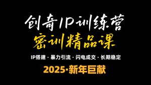 2025年“知识付费IP训练营”小白避坑年赚百万，暴力引流，闪电成交-网创小站