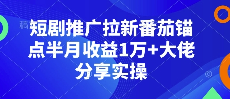 短剧推广拉新番茄锚点半月收益1万+大佬分享实操-网创小站