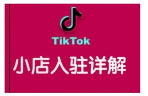 TikTok跨境小店运营全攻略，帮助你独立运营TK跨境小店的能力，实现销量增长-网创小站