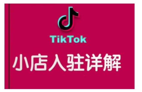 TikTok跨境小店运营全攻略，帮助你独立运营TK跨境小店的能力，实现销量增长-网创小站