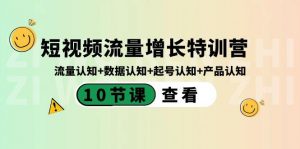短视频流量增长特训营：流量认知+数据认知+起号认知+产品认知（10节课）-网创小站