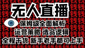 2025无人直播这么做就对了，保姆级全面解析，全程干货，新手老手都可上手-网创小站