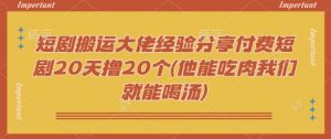 短剧搬运大佬经验分享付费短剧20天撸20个(他能吃肉我们就能喝汤)-网创小站