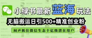 小绿书无脑搬运引流，全自动日引500精准创业粉，微信生态内又一个闷声发财的机会-网创小站