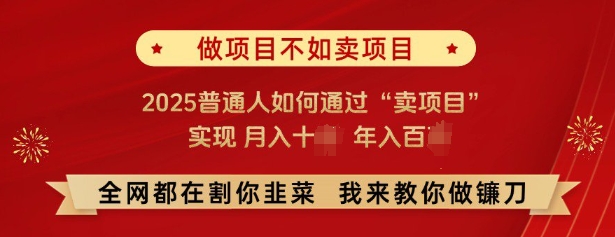 必看，做项目不如卖项目，2025普通人如何通过“卖项目”实现月入十个，年入百个-网创小站