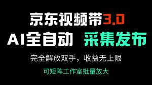 京东视频带货3.0，Ai全自动采集＋自动发布，完全解放双手，收入无上限...-网创小站