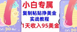 复制粘贴挣美金，0门槛，1天收入95美刀，3分钟学会，内部教程(首次公开)-网创小站