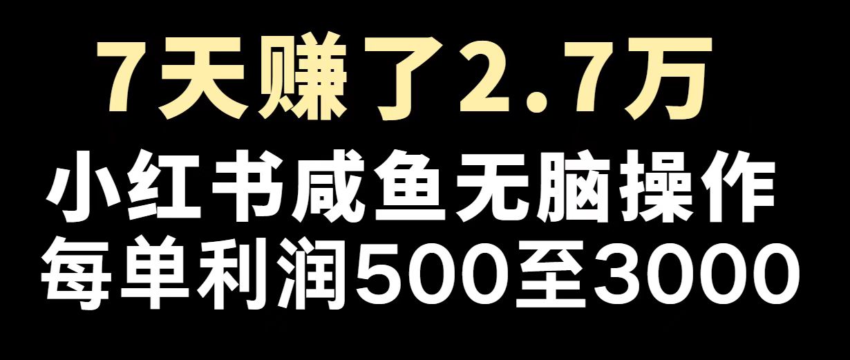 最赚钱项目之一，2025爆火，逆风翻盘！-网创小站