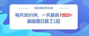 副业她只用了1招，每天30分钟，无脑二创，一天最高1.5k-网创小站