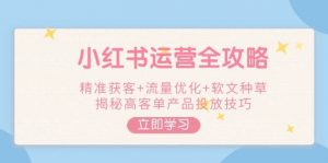 小红书运营全攻略，精准获客+流量优化+软文种草，揭秘高客单产品投放技巧-网创小站