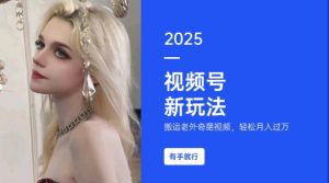 搬运老外奇葩视频，撸视频号分成计划收益，每天只需一小时，新手小白轻松月入过W-网创小站