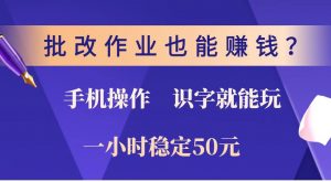 批改作业也能赚钱？0门槛手机项目，识字就能玩！一小时稳定50元！-网创小站