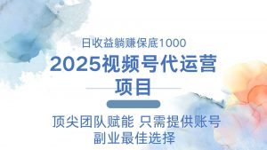 2025视频号代运营 日躺赚1000＋ 只需提供账号-网创小站
