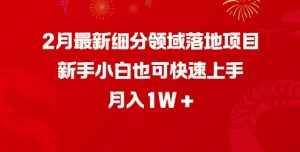 2月最新细分领域落地项目，新手小白也可快速上手，月入1W-网创小站