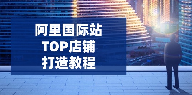 阿里国际站TOP店铺打造教程:涵盖平台到高阶,解决运营难题,提升询盘-网创小站