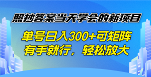照抄答案当天学会的新项目，单号日入300 +可矩阵，有手就行，轻松放大-网创小站