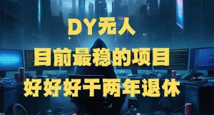 DY无人，目前最稳的项目，矩阵放大边旅游边赚钱，好好好干两年退休-网创小站