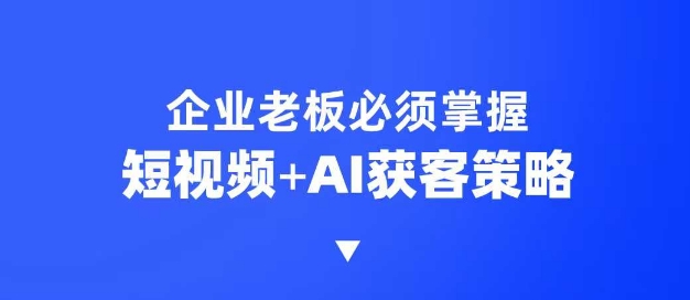 企业短视频AI获客霸屏流量课，6步短视频+AI突围法，3大霸屏抢客策略-网创小站