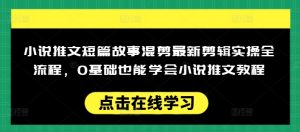 小说推文短篇故事混剪最新剪辑实操全流程，0基础也能学会小说推文教程，肯干多发日入多张-网创小站