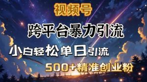 跨平台暴力引流，私域完美闭环，日引500+精准创业粉-网创小站
