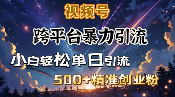 跨平台暴力引流,私域完美闭环,日引500+精准创业粉-网创小站