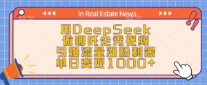 用DeepSeek做哪吒走秀视频，引爆流量涨粉利器，单日变现1k-网创小站