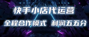 快手小店代运营 限时托管计划 合作模式 利润五五分成【揭秘】-网创小站