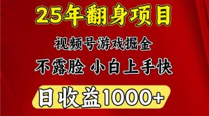 一天收益1000+ 25年开年落地好项目-网创小站