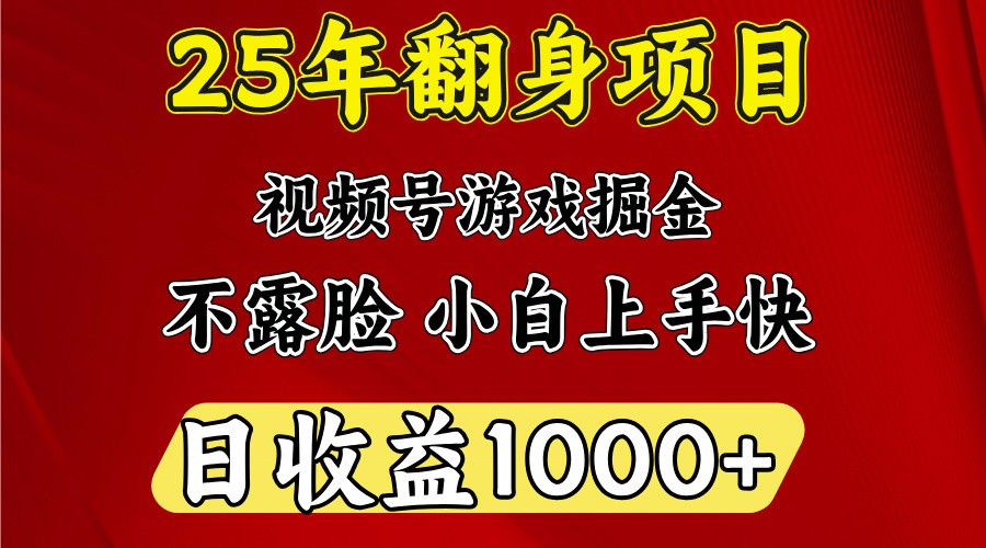 一天收益1000+ 25年开年落地好项目-网创小站