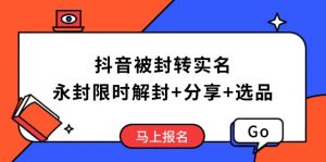 抖音被封转实名攻略，永久封禁也能限时解封，分享解封后高效选品技巧-网创小站