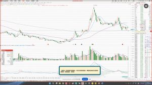 大师兄·鹿鼎山系列内部课程(更新2025年1月)-网创小站