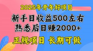 2025开年好项目，单号日收益2000左右-网创小站