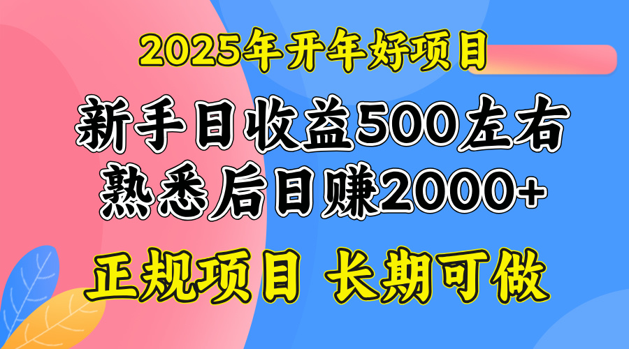 2025开年好项目，单号日收益2000左右-网创小站