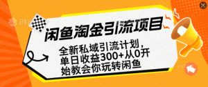 闲鱼淘金私域引流计划，从0开始玩转闲鱼，副业也可以挣到全职的工资-网创小站