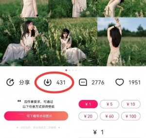 最新图虫搬运项目,收益无上限,利用AI小白也可日赚500+-网创小站