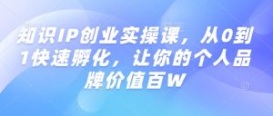 知识IP创业实操课，从0到1快速孵化，让你的个人品牌价值百W-网创小站