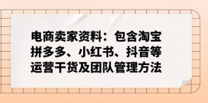 电商卖家资料：包含淘宝、拼多多、小红书、抖音等运营干货及团队管理方法-网创小站