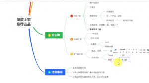苏博士·淘宝精细化铺货运营陪跑(部分更新至2025)-网创小站