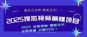 2025最新看视频躺赚收益项目 日赚1000-网创小站