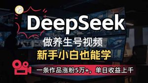 小白用DeepSeek做养生号，一条作品涨粉5万+，单日收益上千-网创小站