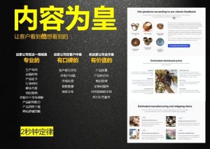 刘老师·外贸询盘增长秘籍从0到1的实战指南-网创小站