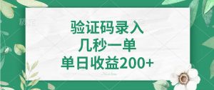 验证码录入，几秒一单，单日收益200+-网创小站