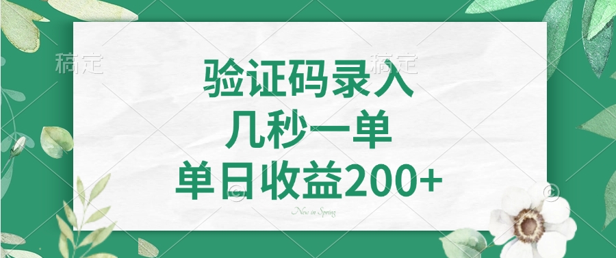 验证码录入，几秒一单，单日收益200+-网创小站