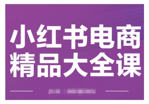 小红书电商精品大全课，快速掌握小红书运营技巧，实现精准引流与爆单目标，轻松玩转小红书电商(更新2月)-网创小站